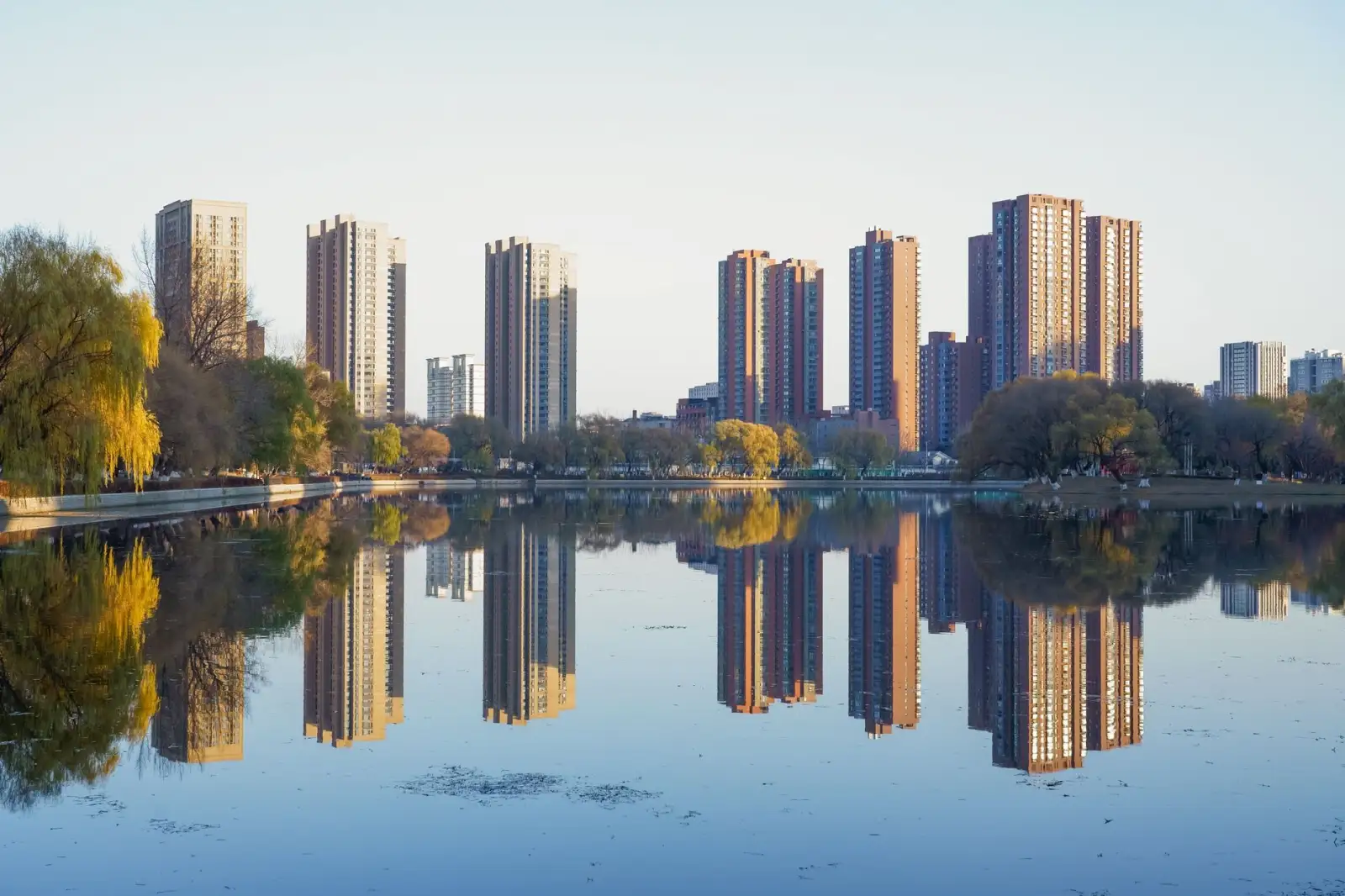 寻光互娱文娱互动方案对比：技术选型与场景适配指南